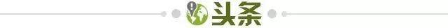 791ed439-7a45-45b9-835e-3aad7cca13db.jpg@!img01